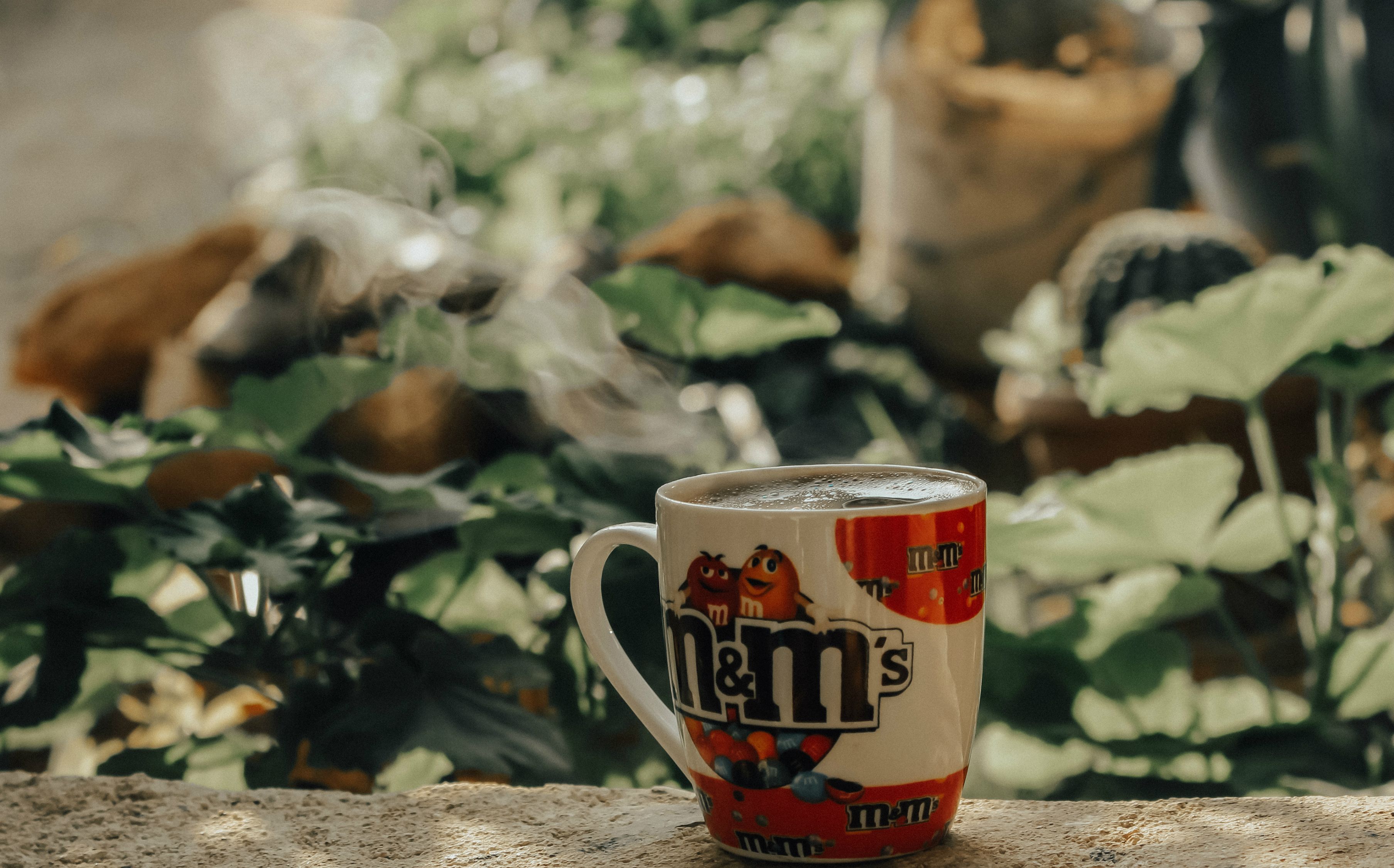 茶客365全部视频,365天,与茶同行的光阴故事 茶客365全部视频,365天,与茶同行的光阴故事